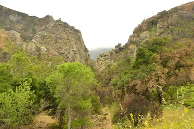 DSC_6331 (Large).JPG